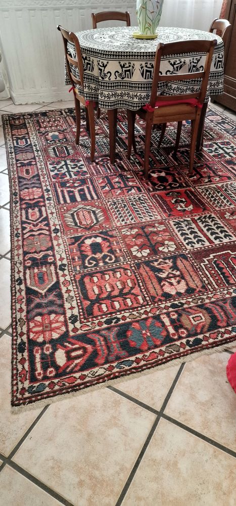 Beau tapis d orient Bakhtiar 650 Ch�teauneuf-sur-Cher (18)