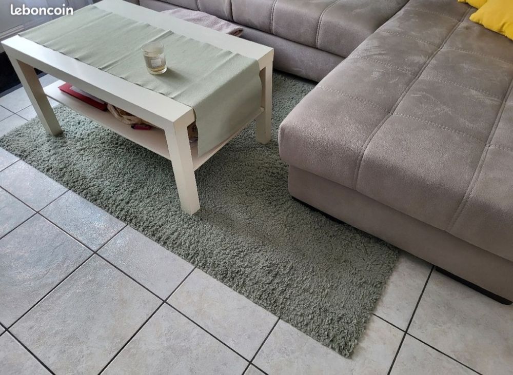 Beau tapis vert � poils longs 20 Villeneuve-d'Ascq (59)