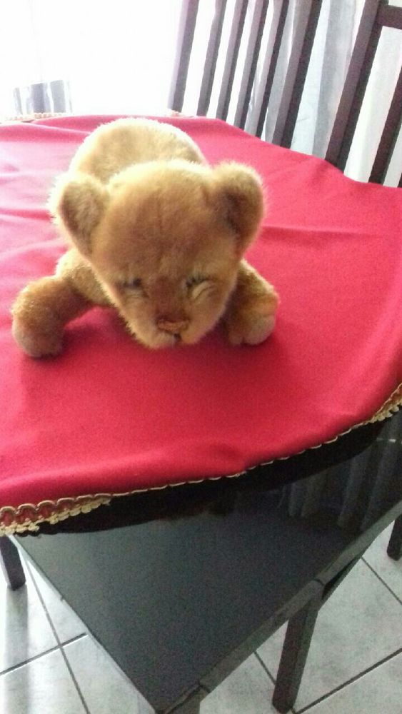 beau tigre peluche �tat neuf bonne taille 10 Craponne (69)