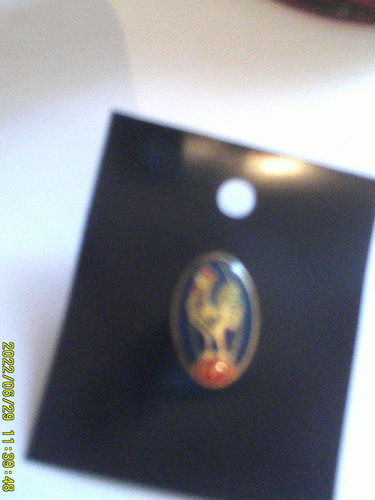 Beau  PIN'S  de  la    F.F.R   15 Nontron (24)