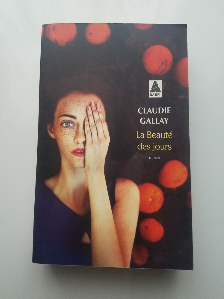 La Beaut� des jours Broch� 2017 Claudie Gallay tr�s bon �tat 4 La Chapelle-Saint-Luc (10)