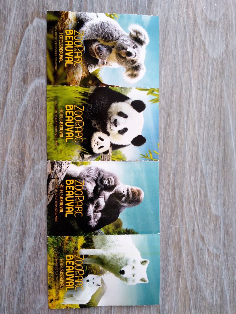 Zoo de Beauval 90 Orvault (44)