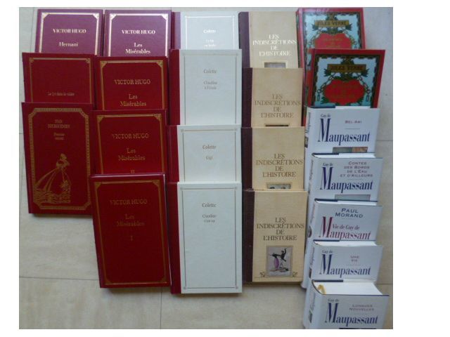 beaux LIVRES de collection - Hugo, Balzac,Maupassant, Verne, 4 Martigues (13)
