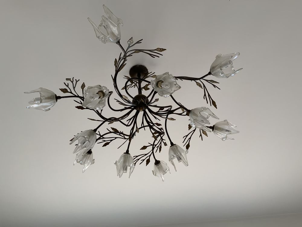 Beaux lustres 100 Vidauban (83)