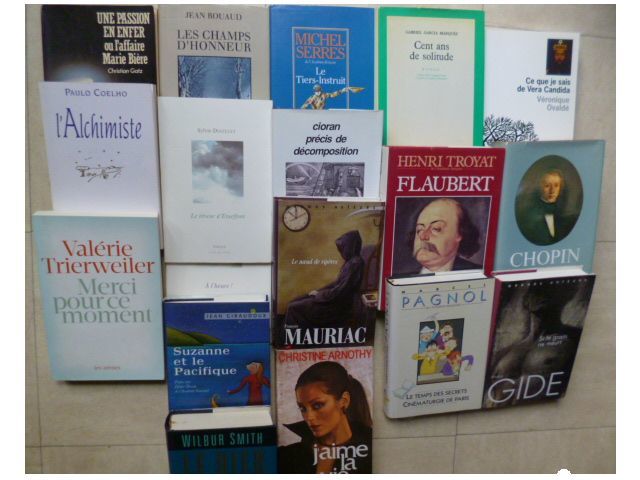 lot 29 - beaux romans ....pour cadeau - zoe 2 Martigues (13)