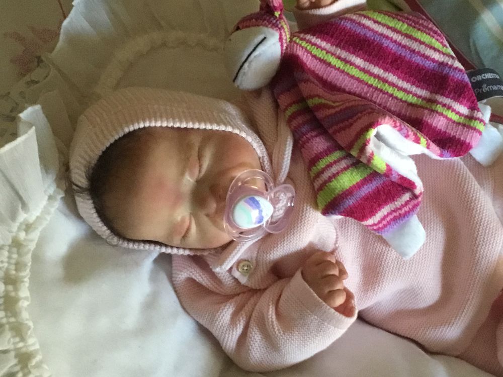 B�b� reborn pour adultes 360 Le Rouret (06)