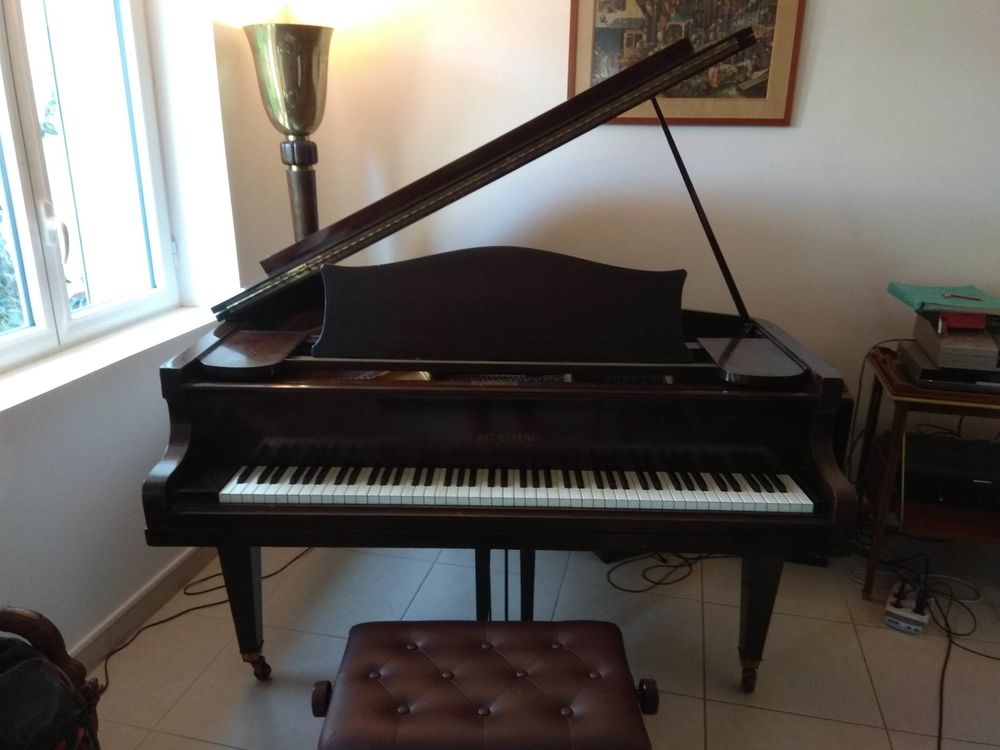 Bechstein 9700 Saint-Nazaire (44)