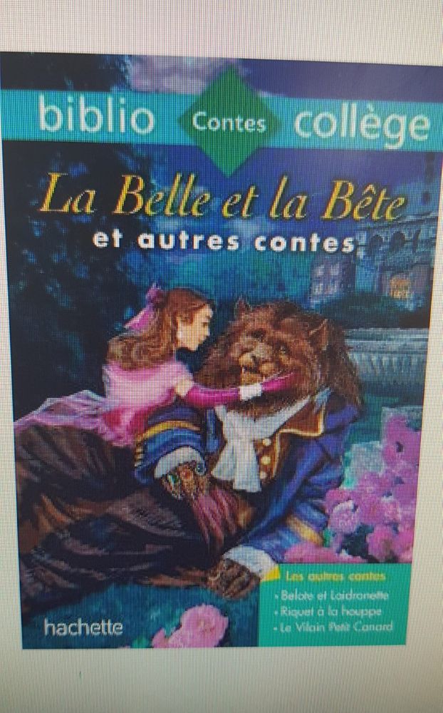 La Belle Et La B�te Et Autres Contes
2 Ploemeur (56)