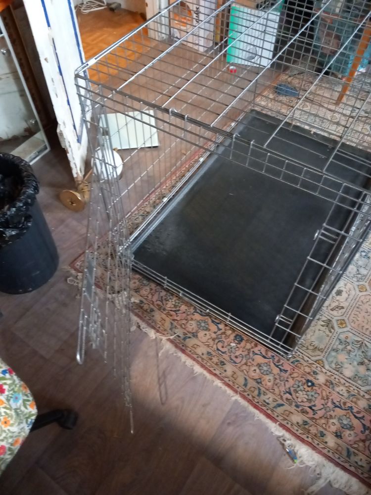 belle cage pour chien ou humain f�roce 1 m 25 de hauteur 99 Mulhouse (68)