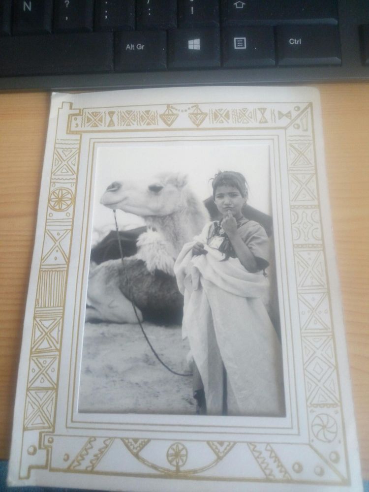 BELLE CARTE POSTALE ANNEES 1950 5 Levainville (28)