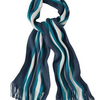 Belle �charpe homme bleu marine ray�e chaude neuve emball�e 12 Domart-en-Ponthieu (80)