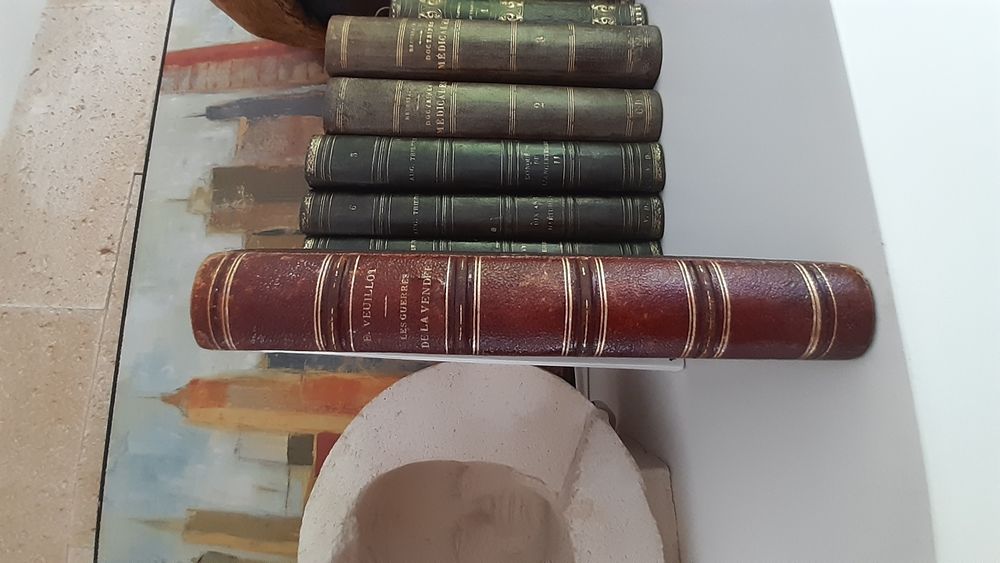 Belle reliure cuir de 1853 45 �zanville (95)