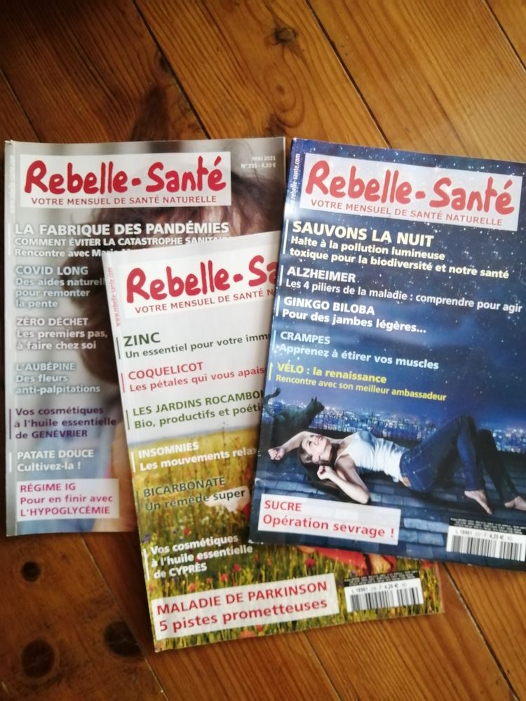 De BELLE SANT� MAI 2009 � REBELLE SANT� AO�T 2021 1 Lanne (65)