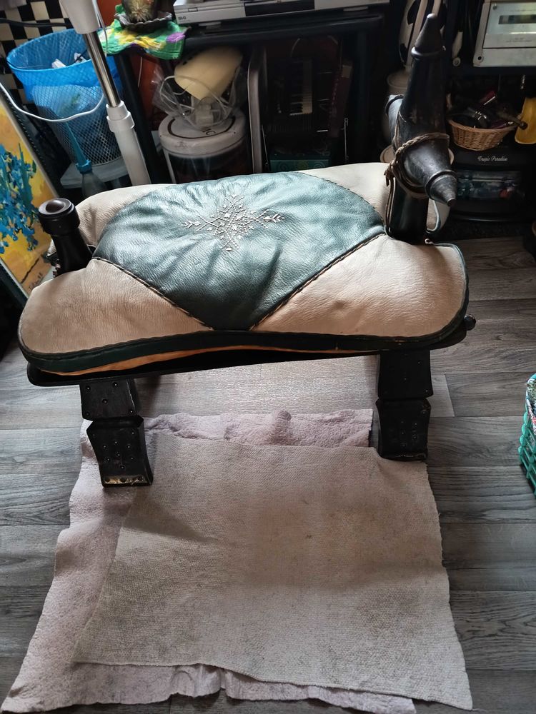 belle+selle+de+chameau 70 Pantin (93)