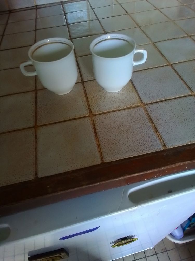 Lot de 2 belles tasses en porcelaine de Sologne 15 Saint-P�re-en-Retz (44)