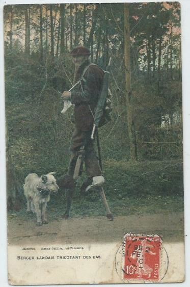 Dax berger landais tricotant des bas 8 Castel-Sarrazin (40)