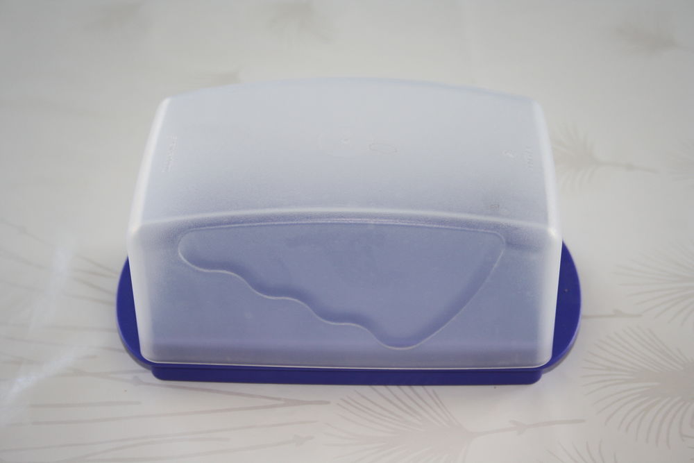 Beurrier tupperware 10 Malz�ville (54)