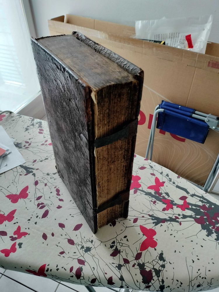 bible allemand de 1747 2500 Valence (82)