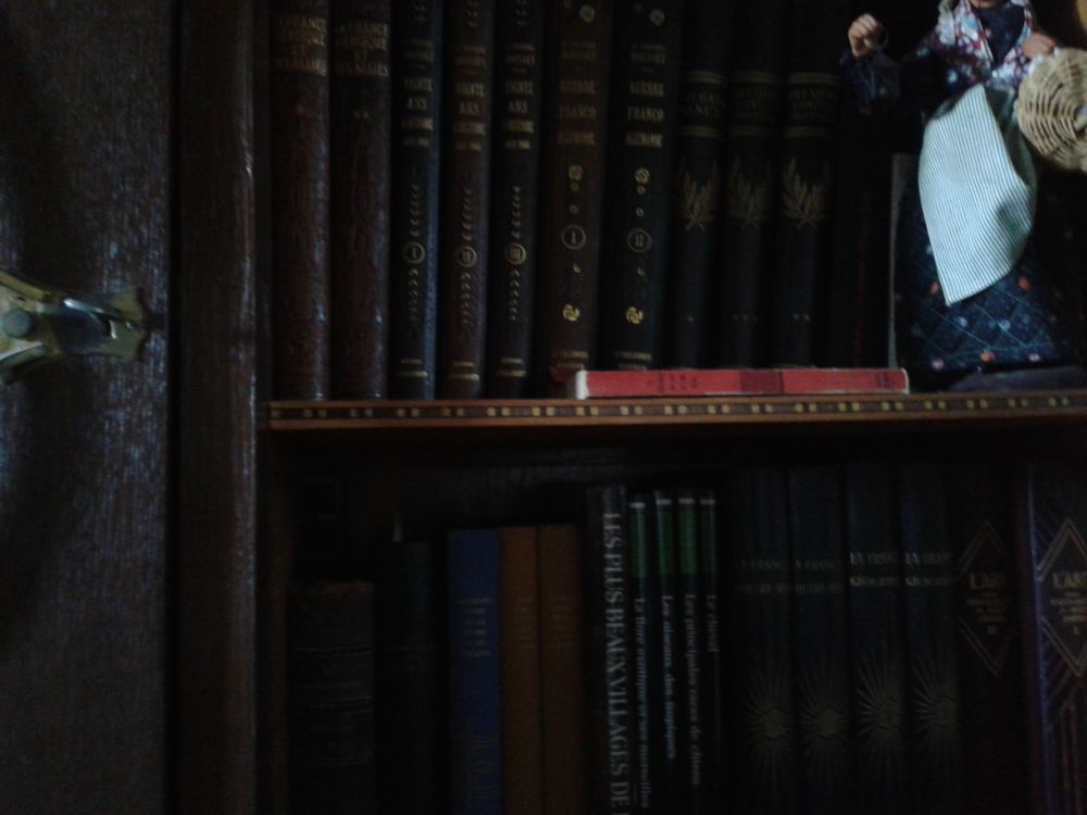 Bibliotheque annee 50 0 Montceau-les-Mines (71)