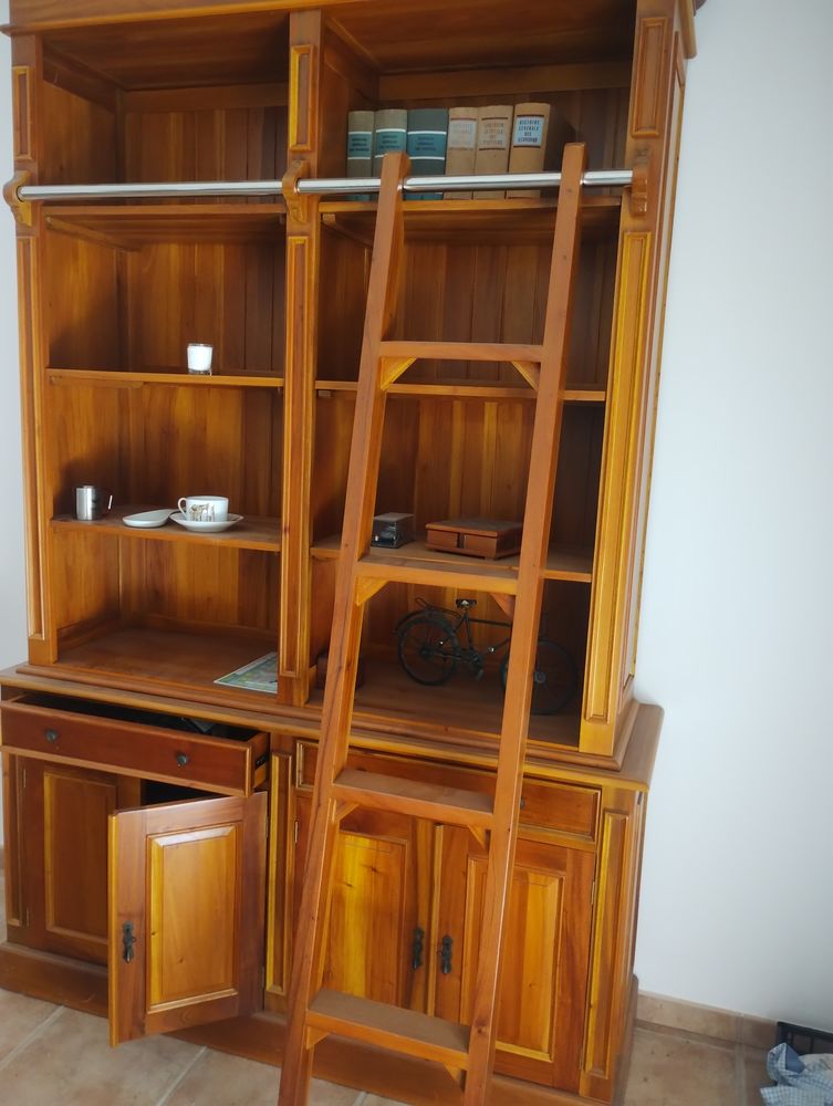 Biblioth�que avec �chelle 650 Massac-S�ran (81)