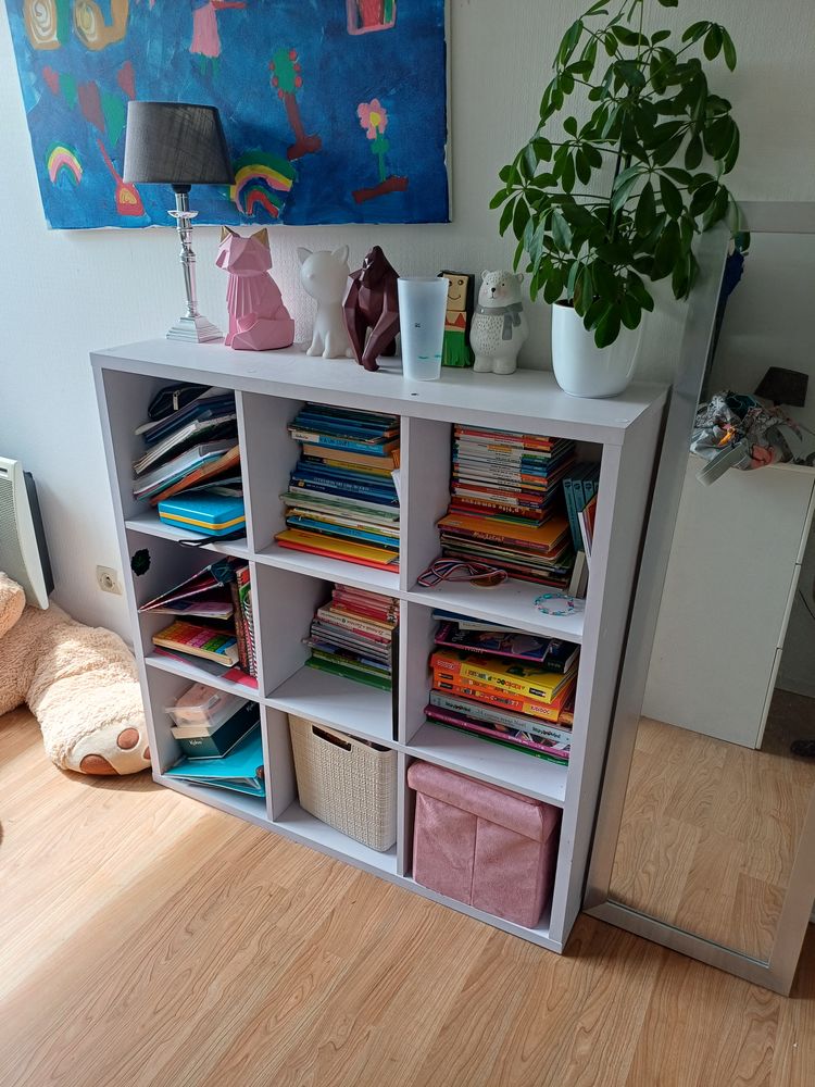 Biblioth�que cubes 40 Mont�limar (26)