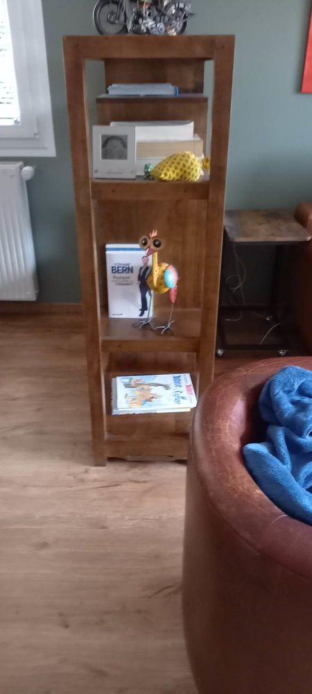 Biblioth�que �tag�re h�v�a massif 280 Bellerive-sur-Allier (03)