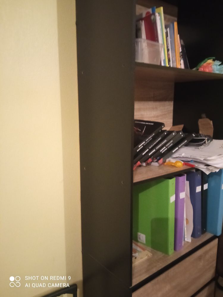 Biblioth�que noir et bois 50 Issendolus (46)