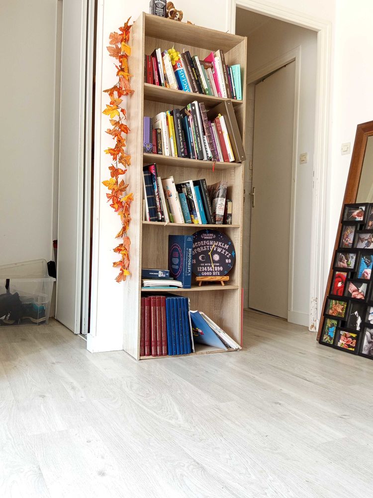 Biblioth�que 30 Aizenay (85)