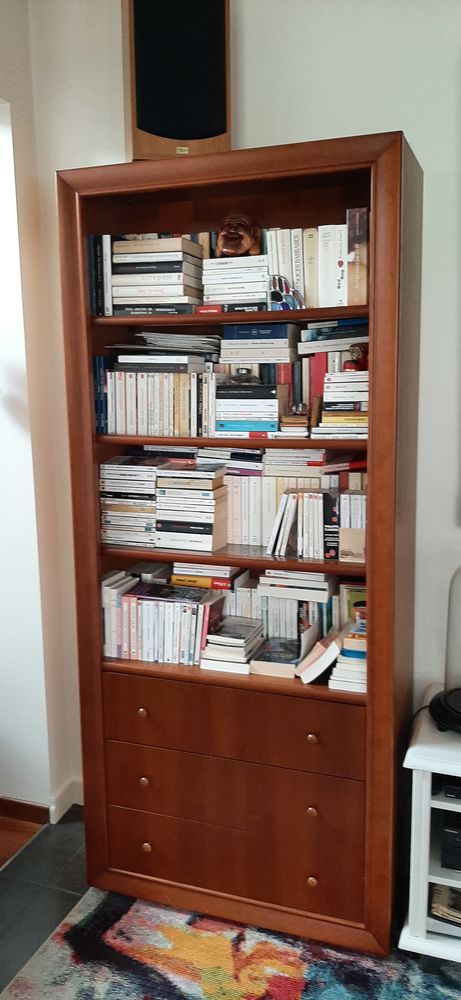 Biblioth�ques bois 150 Caen (14)