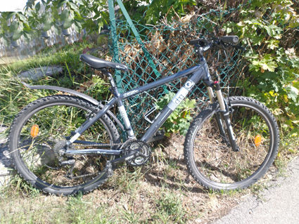 lot VTT Q Bike charger TWO 0 Presle (73)