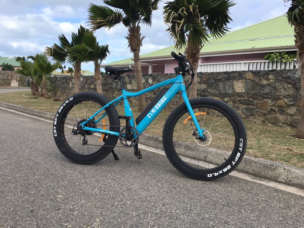 white interceptor fatbike