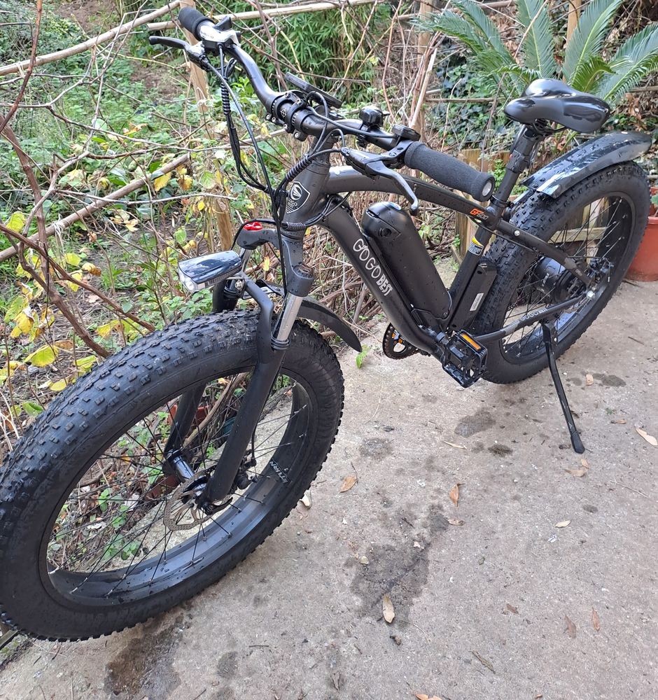 VTT Fat Bike 1250 Tharon Plage (44)