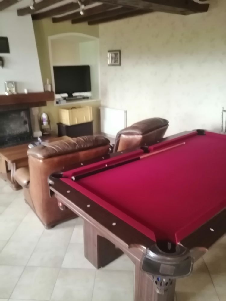 billard am�ricain 799 Pommerieux (53)