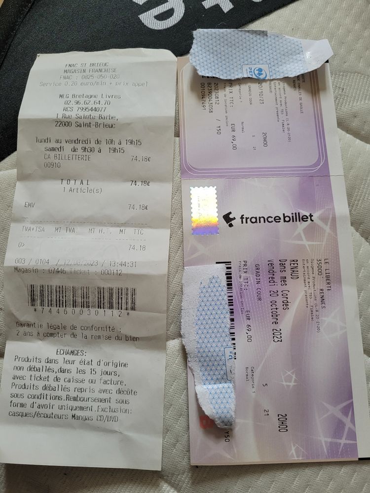 Billet pour aller voir Renaud � Rennes le 20ocbre a 20h 45 Langueux (22)