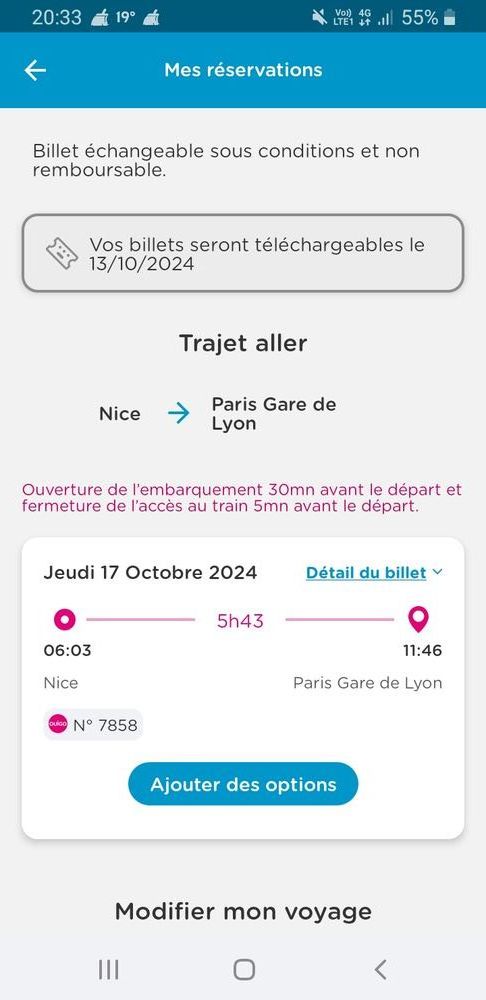 Billet de train nice paris le 17 octobre 29 Cagnes-sur-Mer (06)
