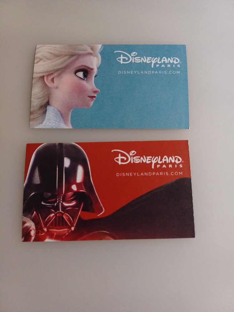 Billets adulte Disneyland Paris 1 jour/2 parcs 75 Amb�rieux-en-Dombes (01)