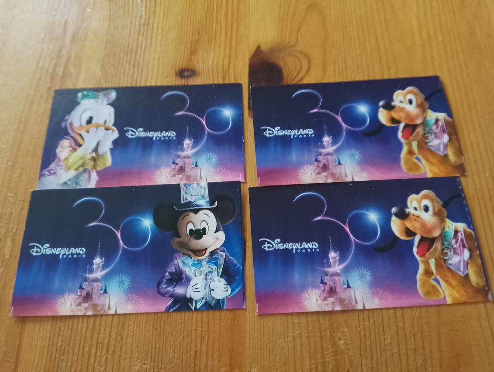 4 billets Disneyland Paris 100 Coray (29)