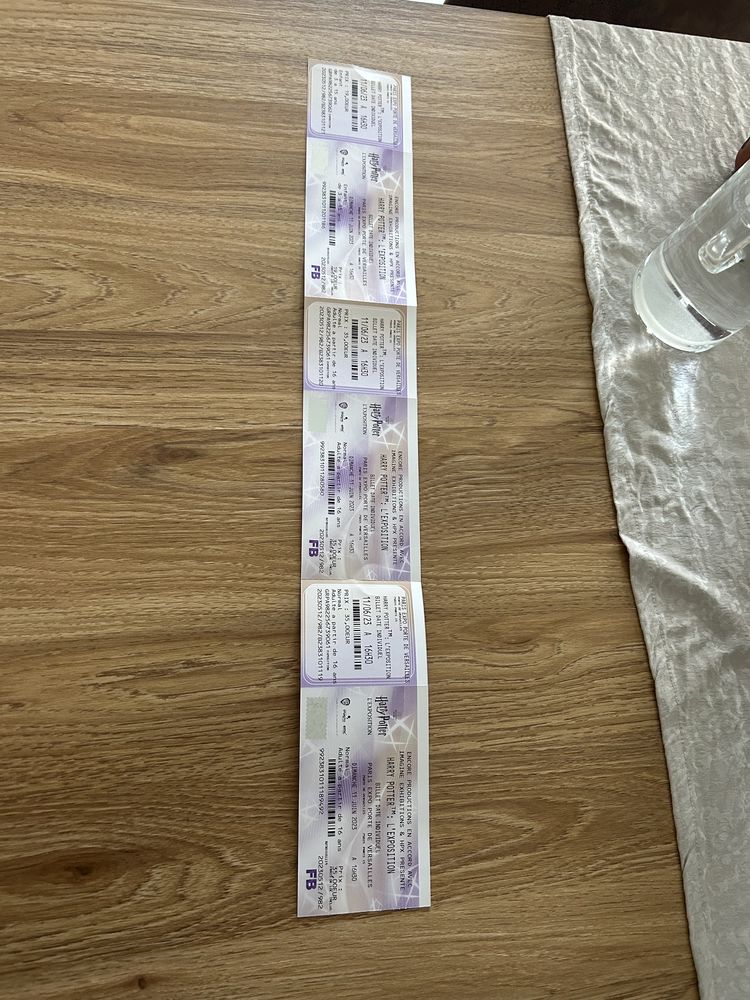 Billets Exposition Harry Potter 35 Guyancourt (78)