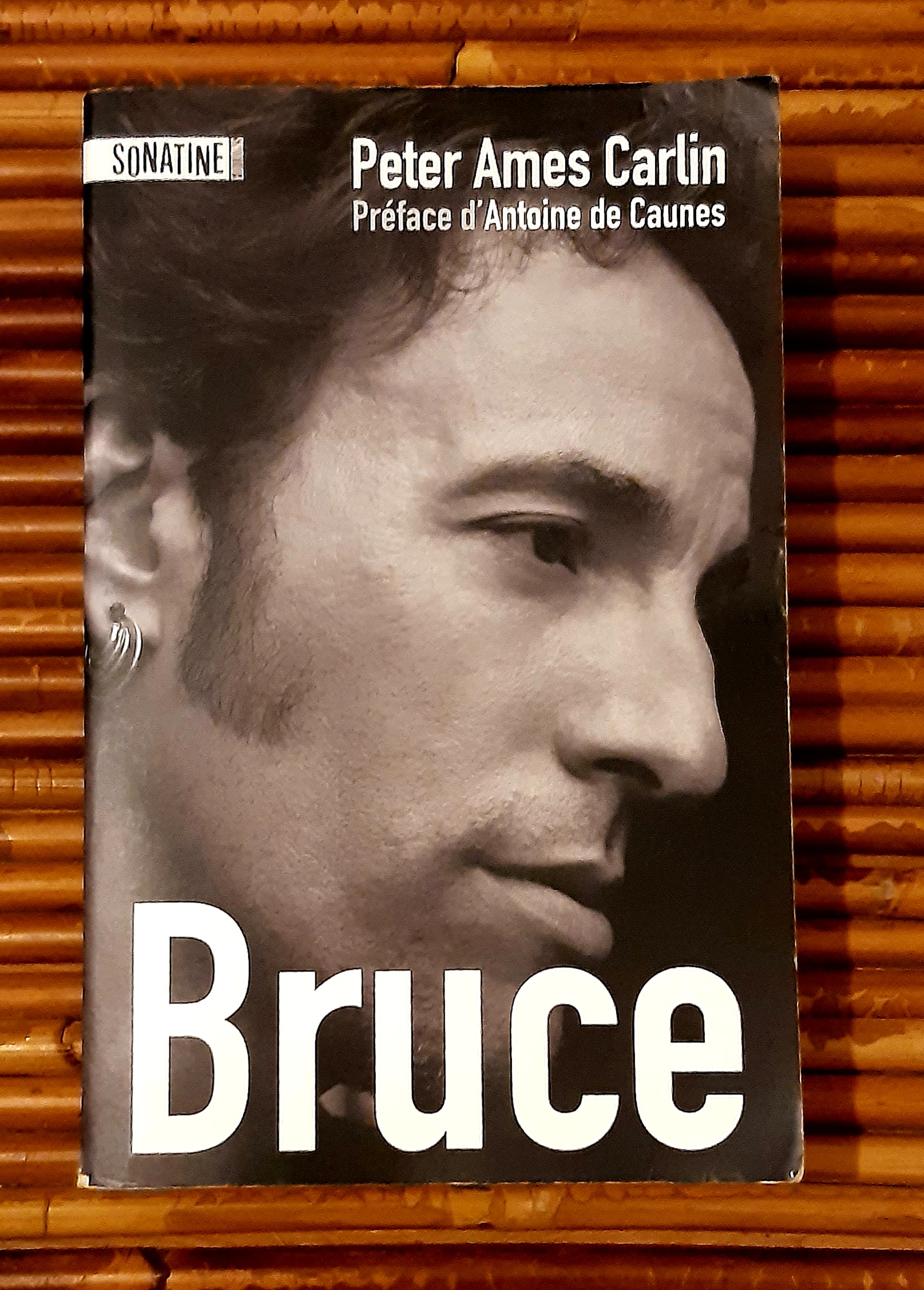 Biographie de Bruce Springsteen 8 Pau (64)