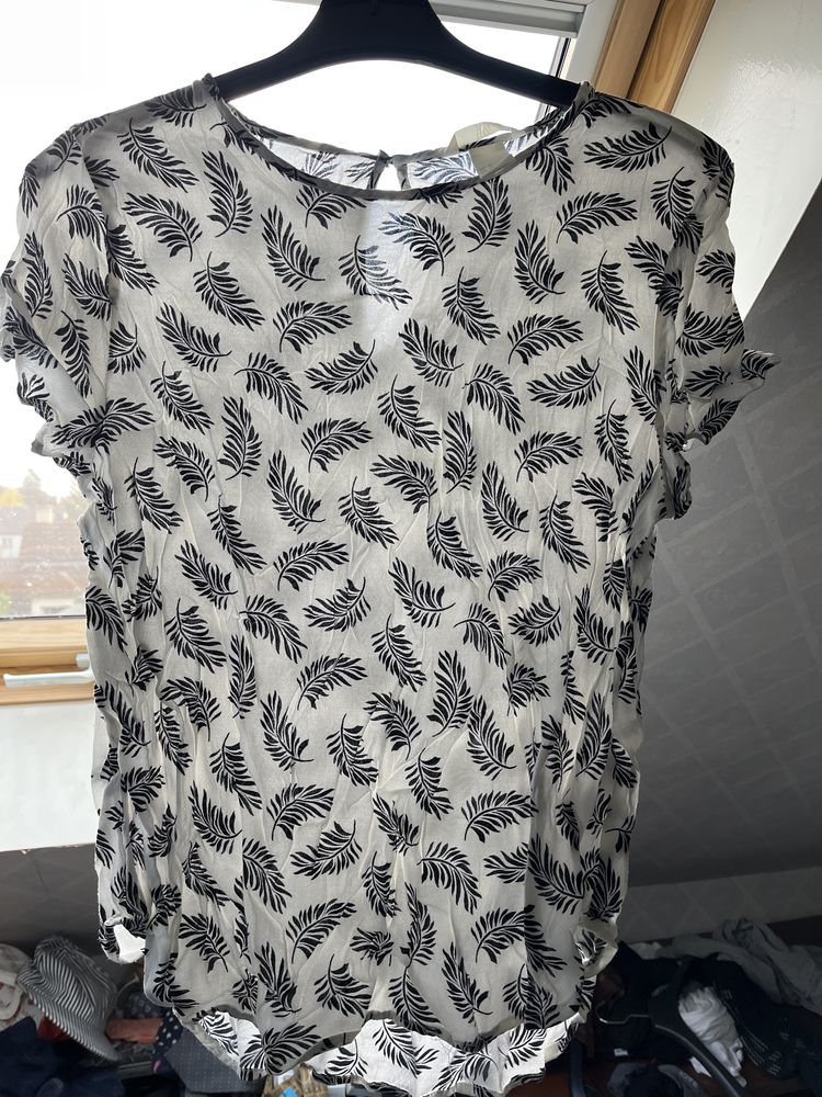 Top blanc et foug�re 10 Villiers-sur-Marne (94)