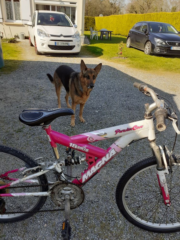 blanc et rose 50 Saint-Urbain (85)