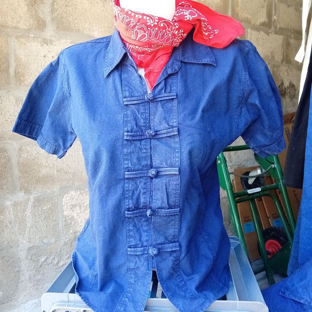 bleu de chine 0 Brest (29)