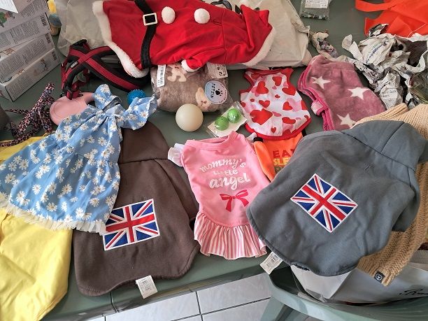 Blind Lot accessoires chien chat vetements animaux mode noel 4 F�ves (57)