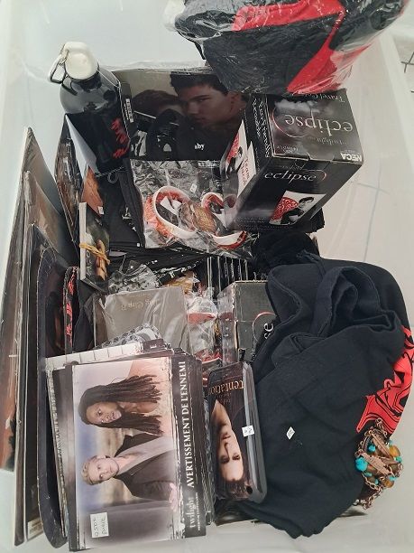 Blind Lot  Twilight  film cin� s�rie TV goodies cullen loup 4 F�ves (57)