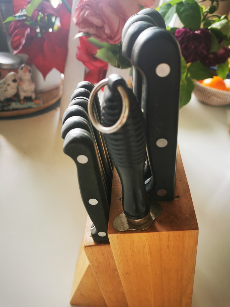 Bloc couteaux cuisine avec pierre � aiguiser 15 Saint-Jorioz (74)