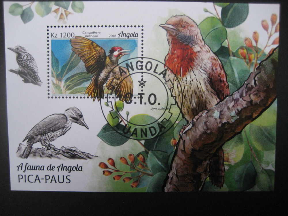 Bloc-feuillet de l'ANGOLA, Campethera bennettii 3 Reims (51)