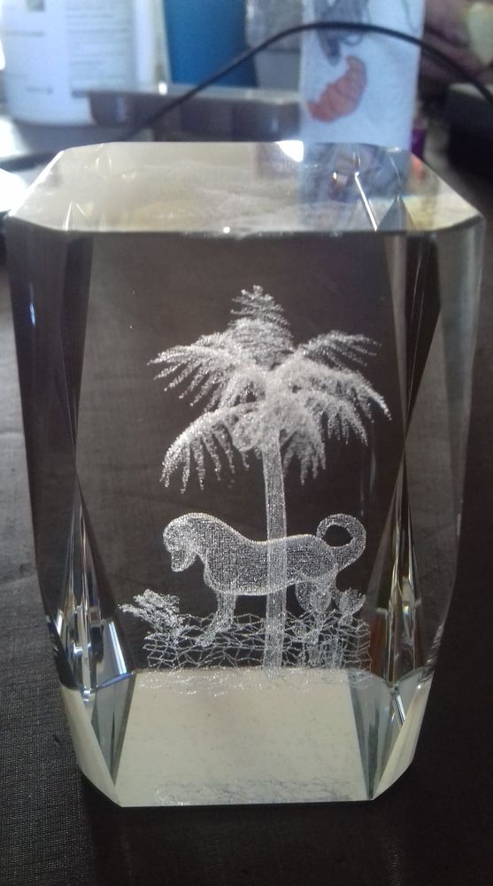 Bloc Vertical Chien Grav�s en 3D dans le verre 80*50*50 mm 6 Itteville (91)