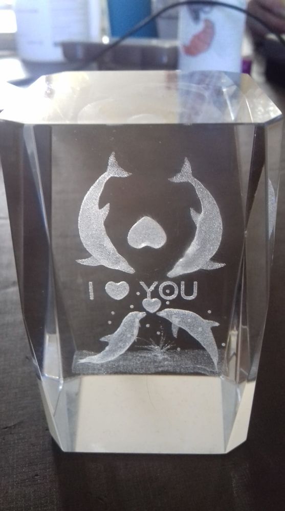 Bloc Vertical dauphin Grav�s en 3D dans le verre 80*50*50 mm 6 Itteville (91)