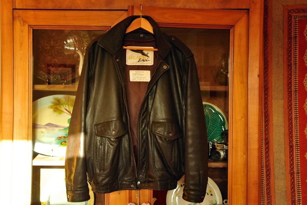 Blouson cuir marron 85 Le Folgo�t (29)