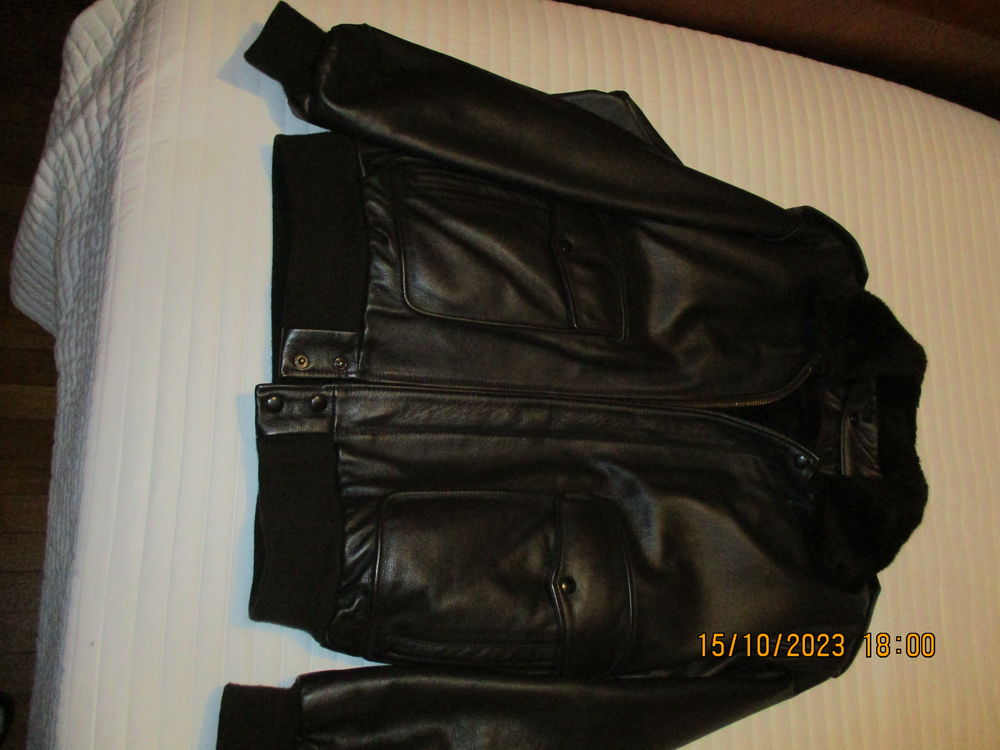 blouson  cuir  pilote en excellent �tat doublure amovible 90 Sainte-Foy-l�s-Lyon (69)